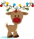Reindeer
