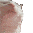 catvibe