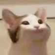 popcat1 Discord Emoji