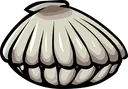 Clam