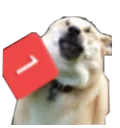 gx_pingerino gx_pingerino