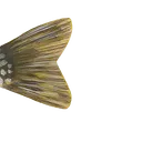 pike01