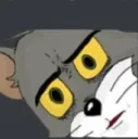 wtf