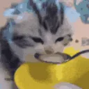 SCbabymilk2