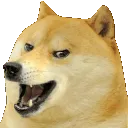 doge_evil_laught
