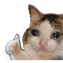 CULT_sadok Discord emoji