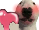 walterluv Discord emoji