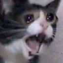 UPSET UPSET