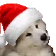 santadoggo