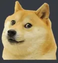 doge2