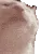 kat_jam