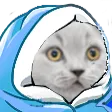 AG_CatBlanket