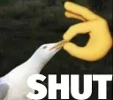 shut