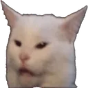 catwuttLife Discord Emoji