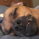 snooze Discord emoji