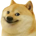 m_fh_doggo_Smile