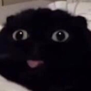 apalu Discord emoji