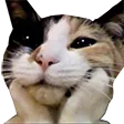 tedescWow