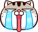 WL_sob_cry Discord emoji