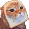 WL_cat_toast Discord emoji