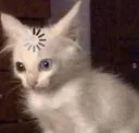 methinkingaboutyoubcurcute methinkingaboutyoubcurcute