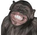 Funny Monkey Discord Emoji