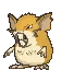 Raticate