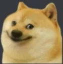 cheems cheems