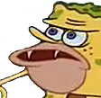 caveBob