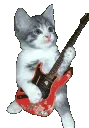 CatGuitar