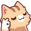 Cat Ok catok Discord Emoji