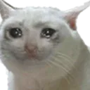 catcry Discord Emoji