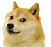 RNX_doge_hein
