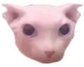 bingus