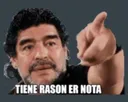 tiene_razon