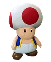 toadert toadert