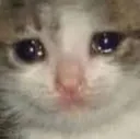 sad