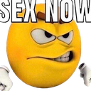 sexnow