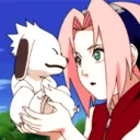 Bark Bark