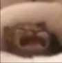 Death Death