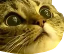 O_O