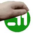 pet11