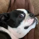 Lulu5