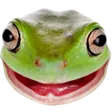 osfrog Discord Emoji
