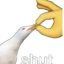 shutsuis Discord emoji