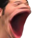 pOg