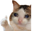 CryThumsUp Discord emoji