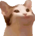 x_cat_6 Discord Emoji