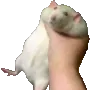 fatrat