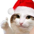 mascat